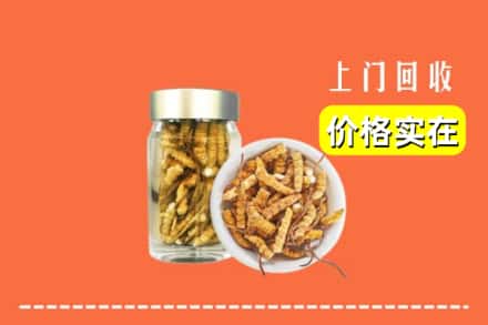 收购资讯:会宁县回收散虫草