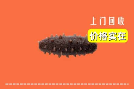 收购资讯:会宁县回收海参